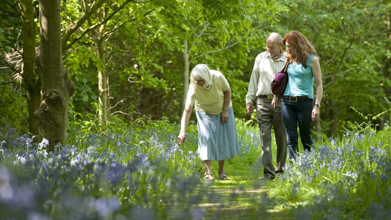 Visitors in the garden at Speke Hall, Liverpool